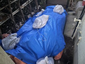 浴室改装工事
シャワーユニット設置工事
脱衣室
脱衣室造作工事
大工工事
設備工事